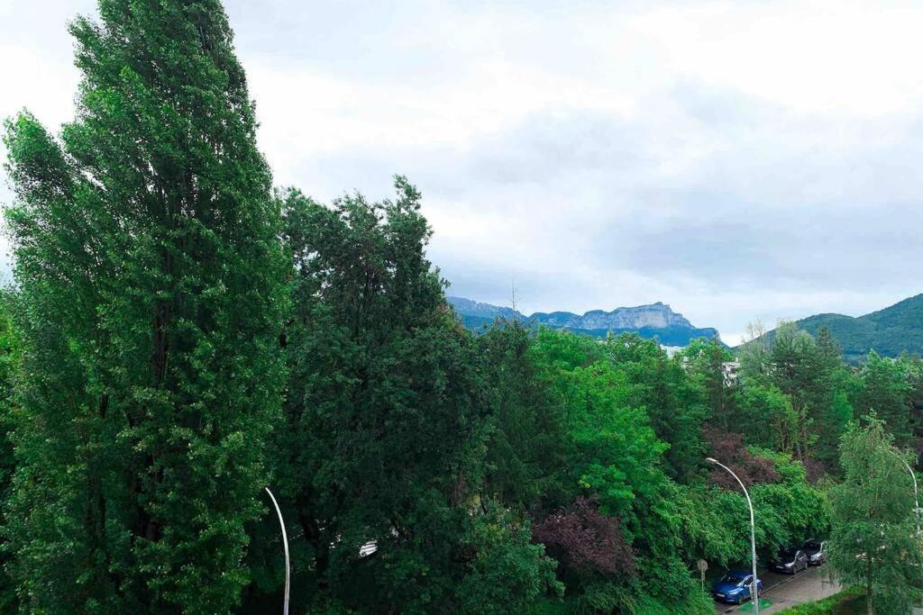 Charmant Appartement Avec Vue Sur Les Montagnes 阿讷西 外观 照片